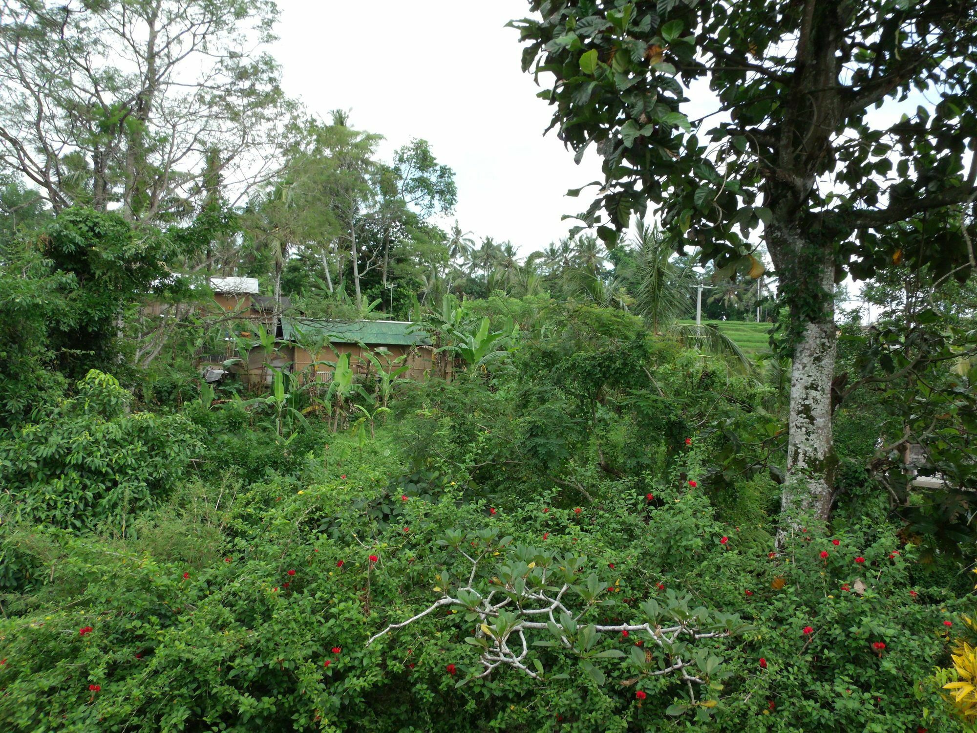 Gasthof Wenara Bali